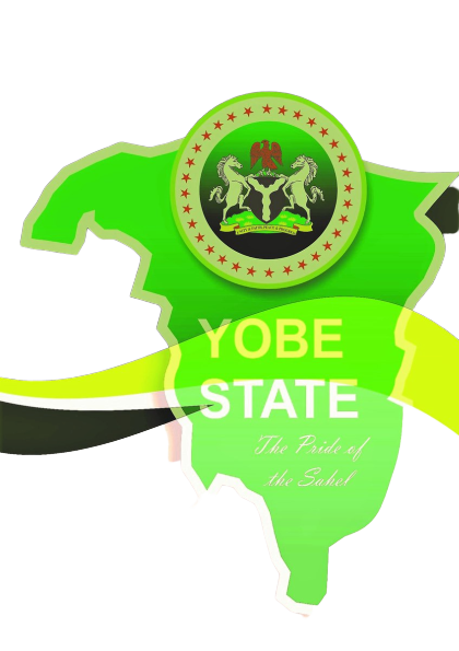 Yobe ICT Youth Empowerment Program